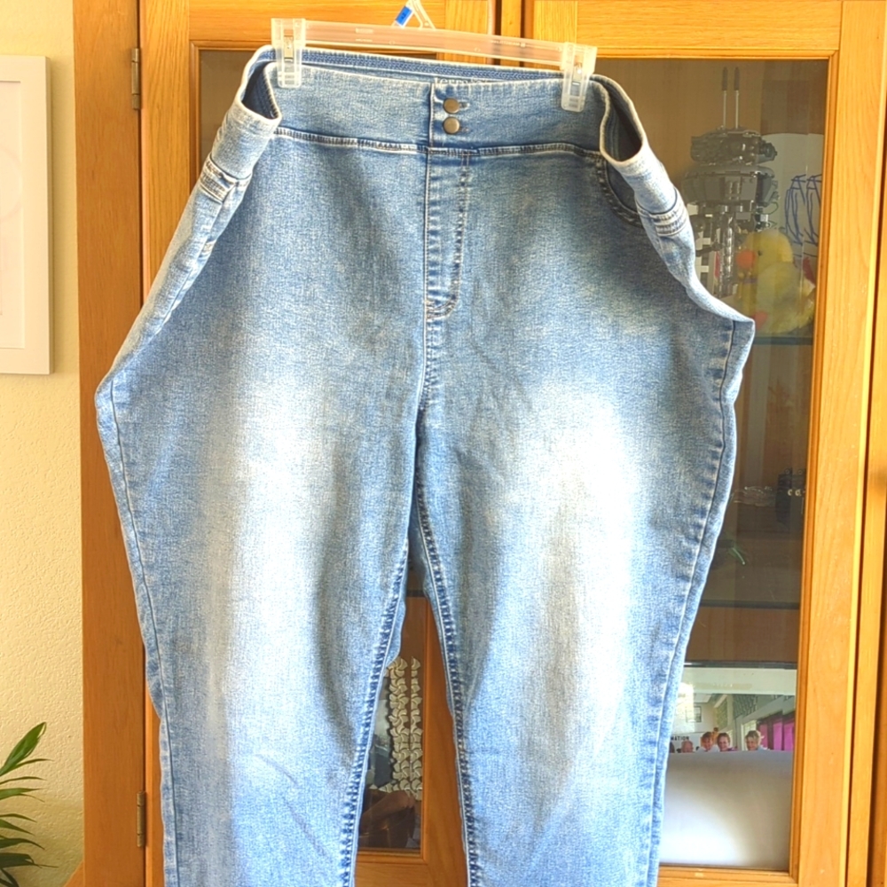 Terra Sky Jeggings 2x